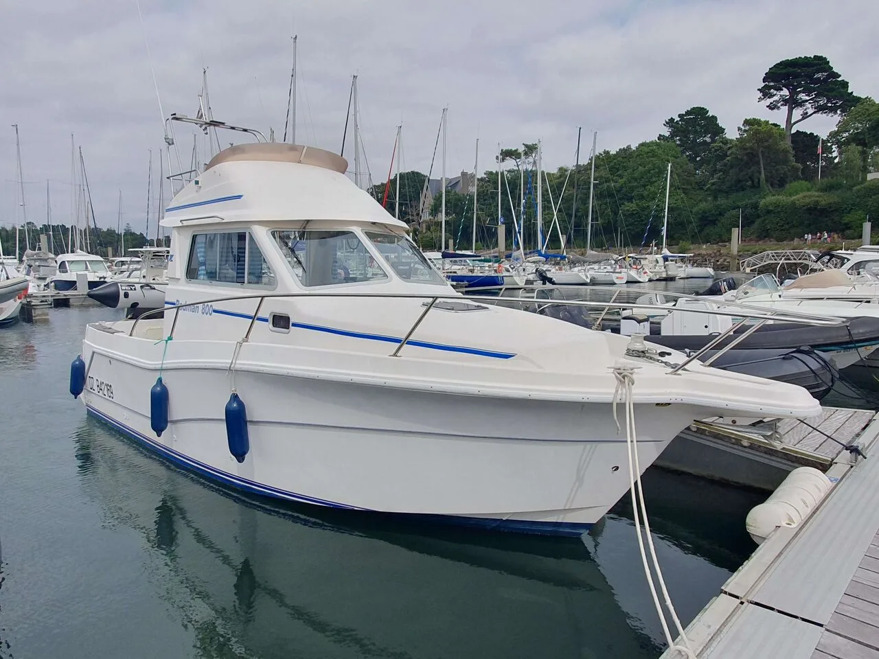 Rodman 800 d'occasion - photo 1