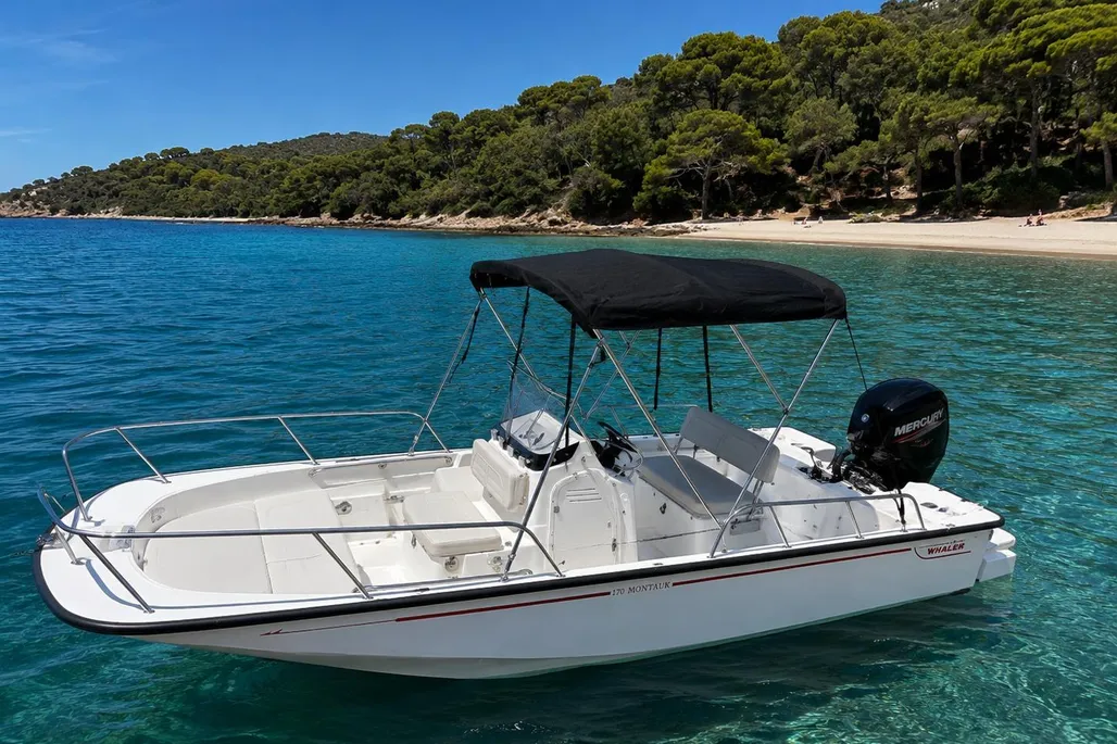 Boston Whaler 170 Montauk used - photo 1