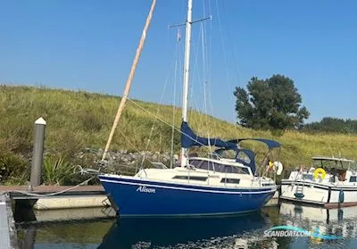 Beneteau Evasion 29 usato - foto 1