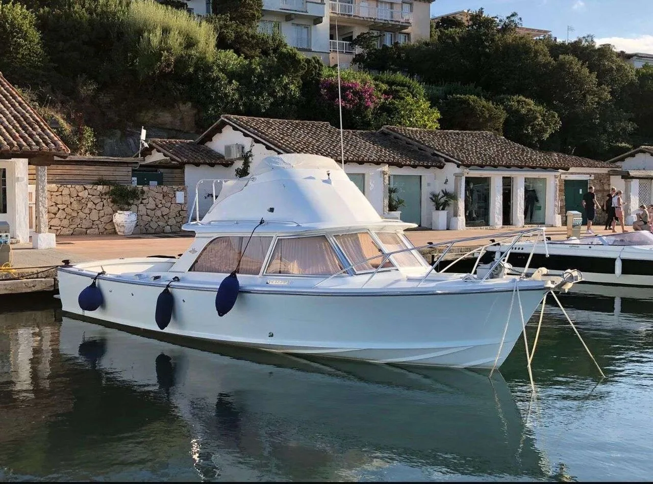 Bertram 31 used - photo 1
