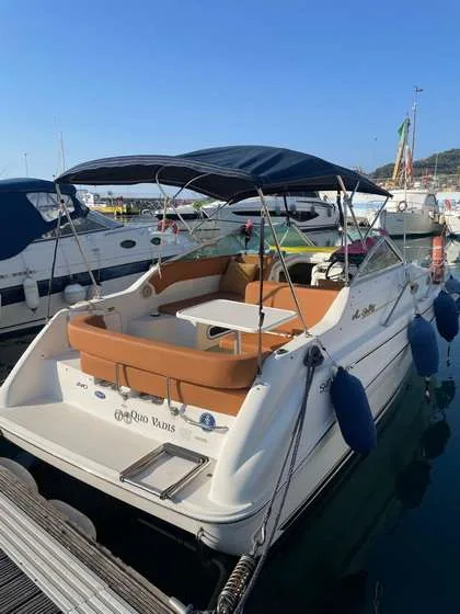 Sea Ray SUNDANCER 240 usato - foto 1