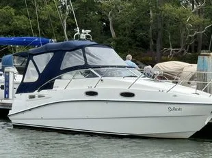 Sealine 23 Continental usato - foto 1