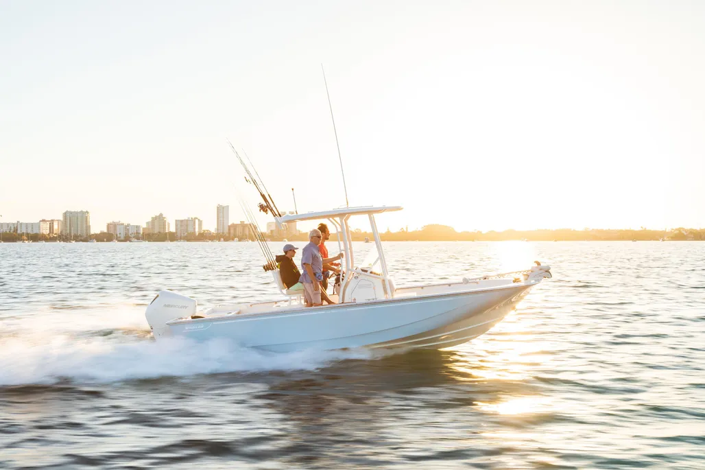 Boston Whaler 210 Montauk used - photo 1
