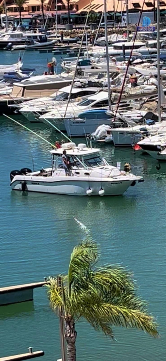 Boston Whaler 305 Conquest used - photo 1