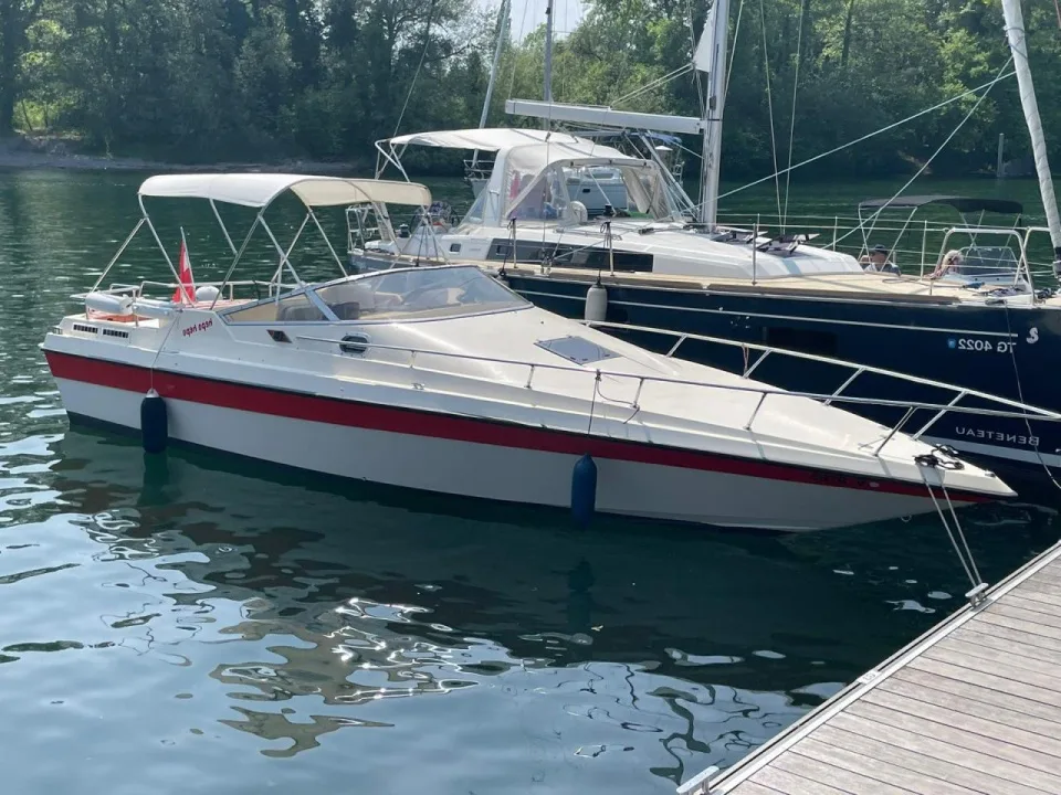 Gobbi 890 Sport d'occasion - photo 1