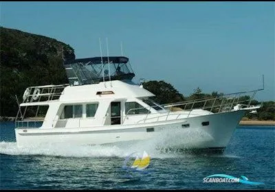 Integrity Motor Yachts Integrity 440 Fly gebraucht - Foto 1