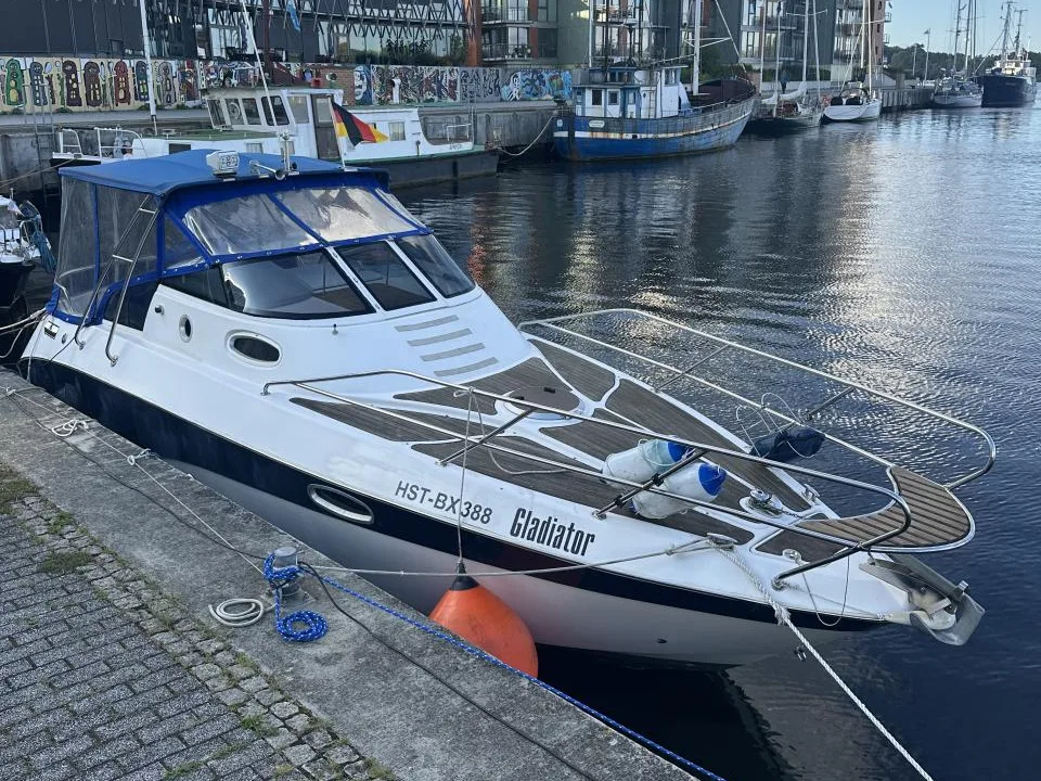 Sea Ray Gladiator gebraucht - Foto 1