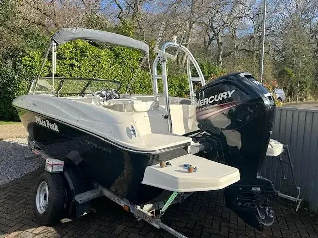 Bayliner Element e18 d'occasion - photo 1