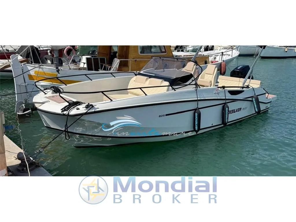 Quicksilver Active 805 used - photo 1