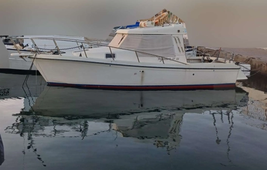 Finnautica VEGLIATURA 27 gebraucht - Foto 1