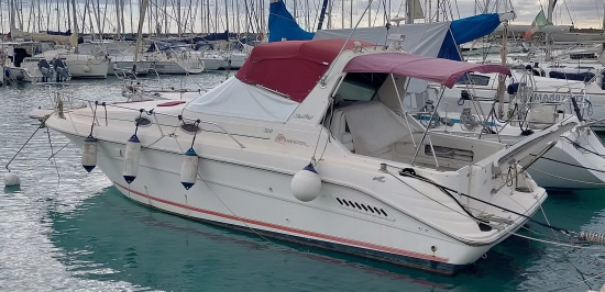 Sea Ray Sundancer 300 gebraucht - Foto 1