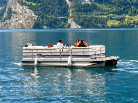 Harris 20 Cruiser Grand BI used - photo 1