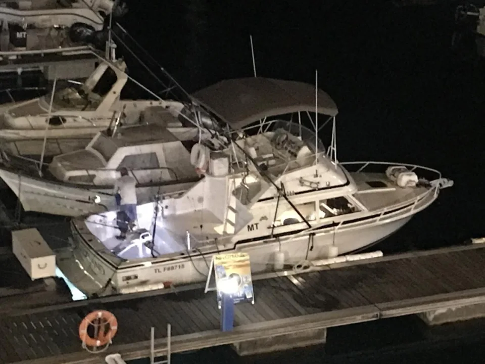 Bertram 28 used - photo 1