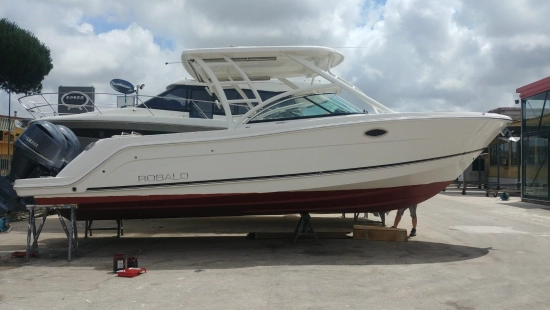 Robalo R 317 usato - foto 1
