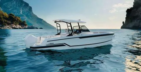 Wellcraft 28 t-top usato - foto 1