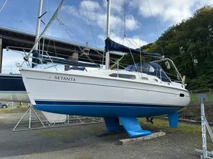 Hunter Legend 306 used - photo 1