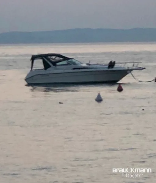 Sea Ray 310 DA gebraucht - Foto 1