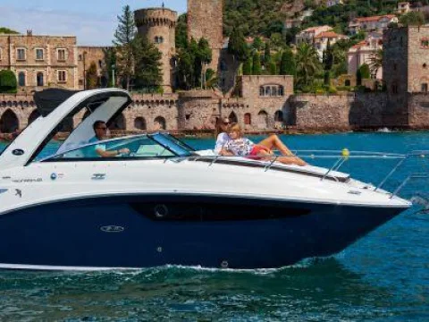 Sea Ray Sundancer 265 gebraucht - Foto 1