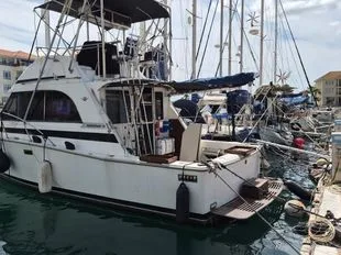 Bertram 33 SF used - photo 1