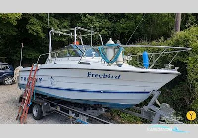 Bayliner Trophy Walkaround 2102 gebraucht - Foto 1
