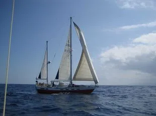 Wauquiez Amphitrite 43 usato - foto 1