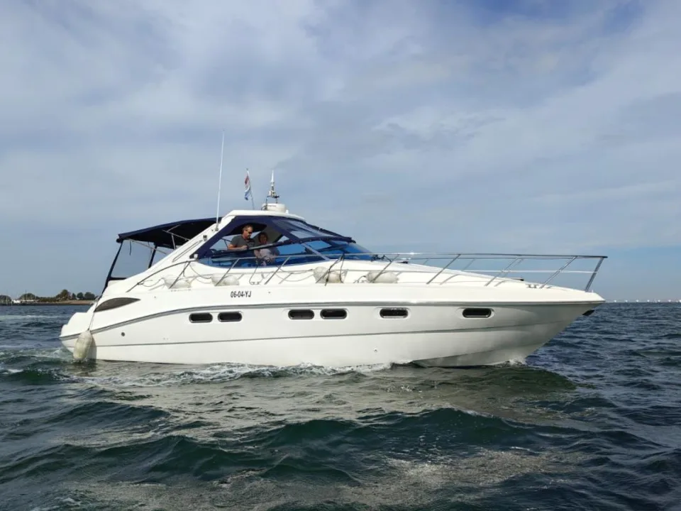 Sealine S41 usato - foto 1