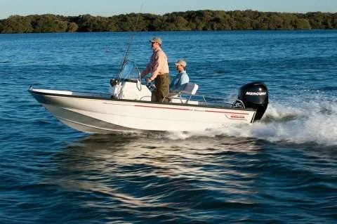 Boston Whaler 150 Montauk used - photo 1