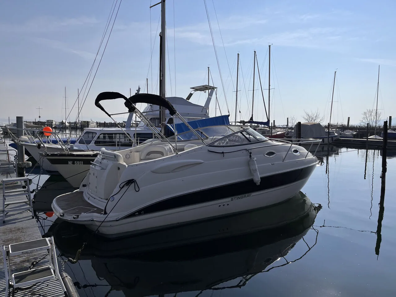 Stingray 250 CS used - photo 1