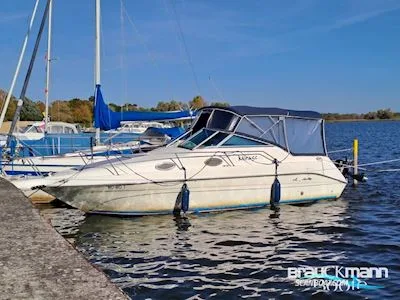 Sea Ray 250 DA d'occasion - photo 1