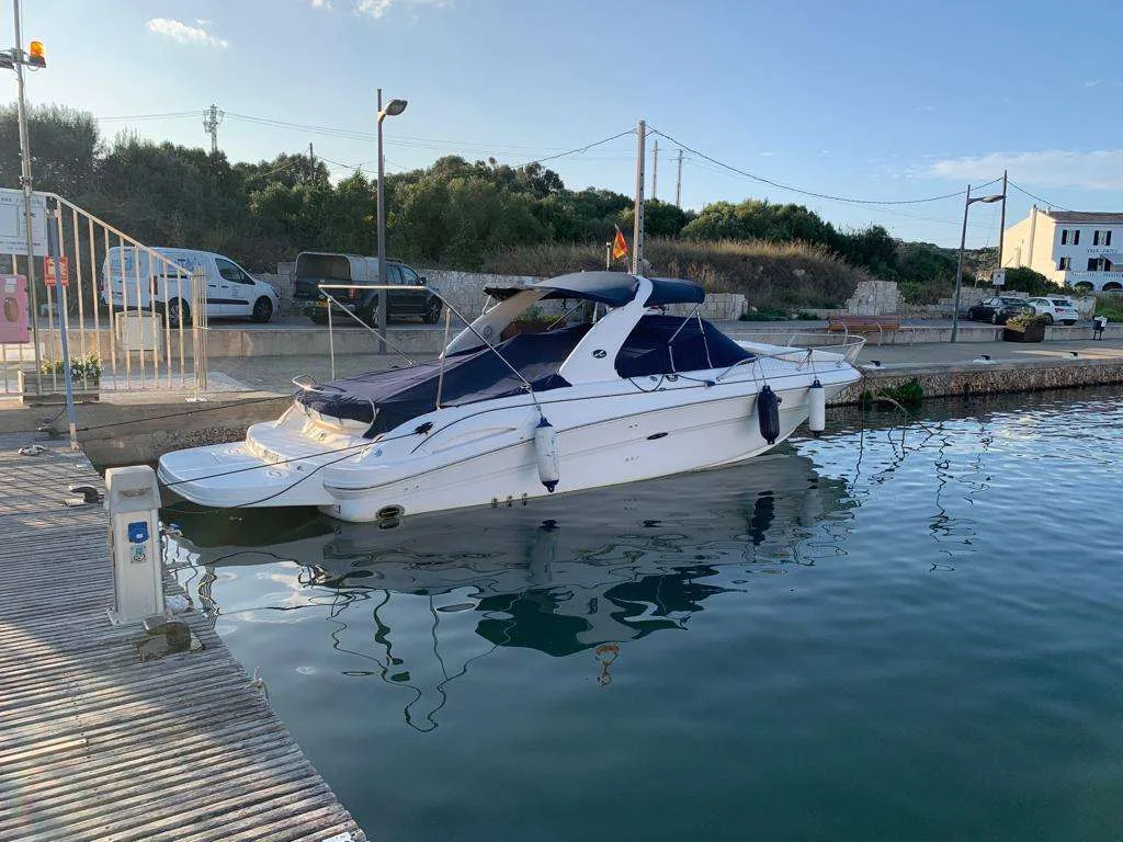 Sea Ray 290 SUN SPORT gebraucht - Foto 1