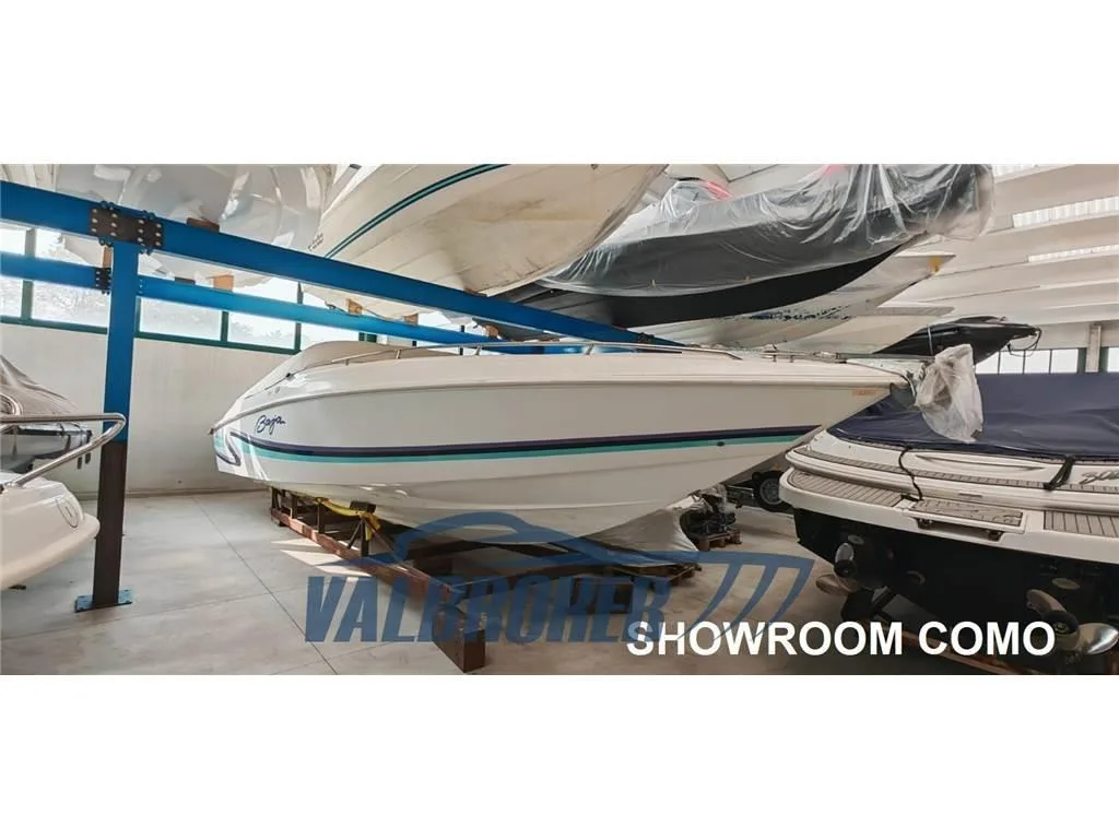 Baja Marine 270 d'occasion - photo 1