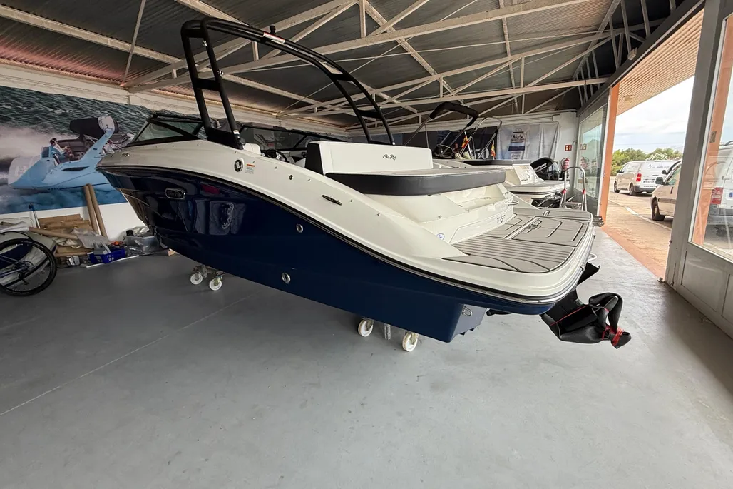 Sea Ray SPX 210 gebraucht - Foto 1