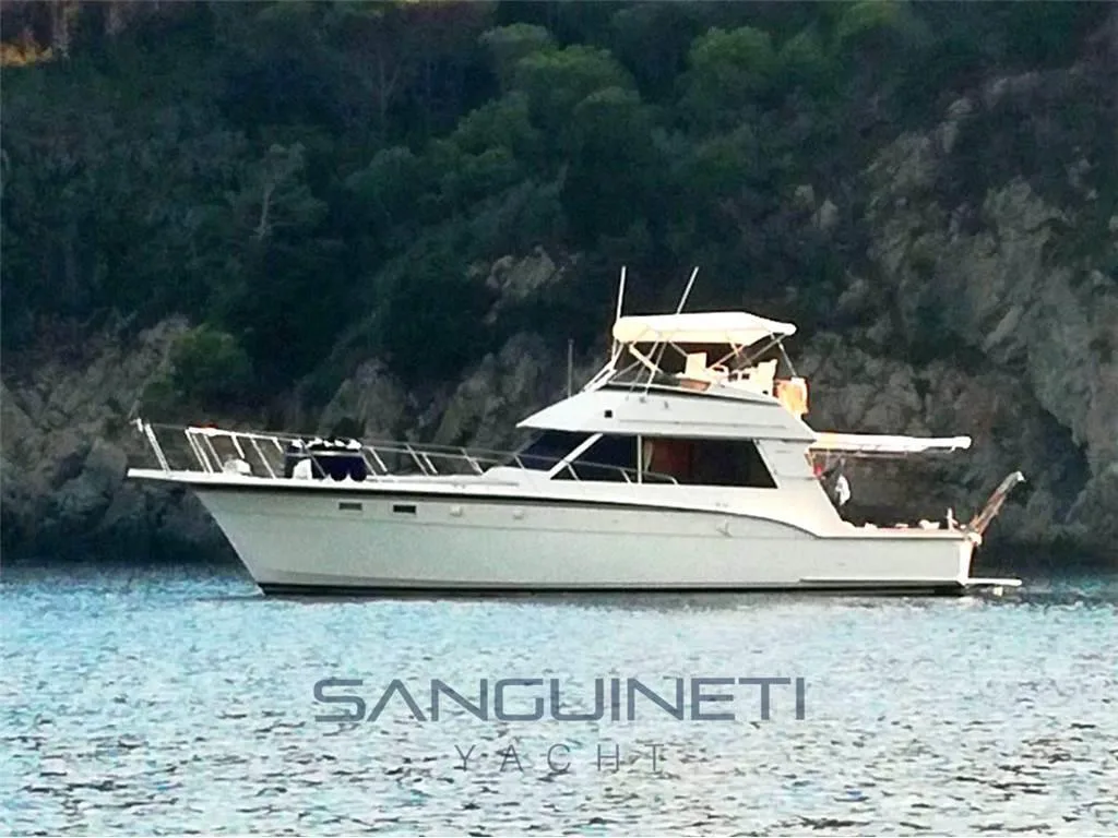 Hatteras 45 convertible used - photo 1