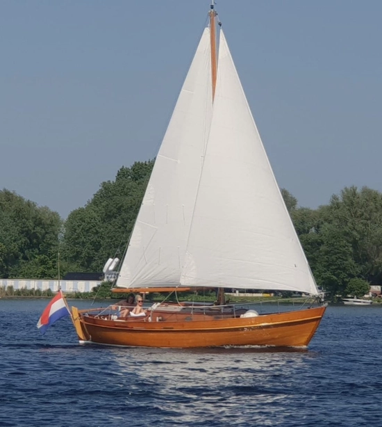 De Vries Lentsch 800 used - photo 1