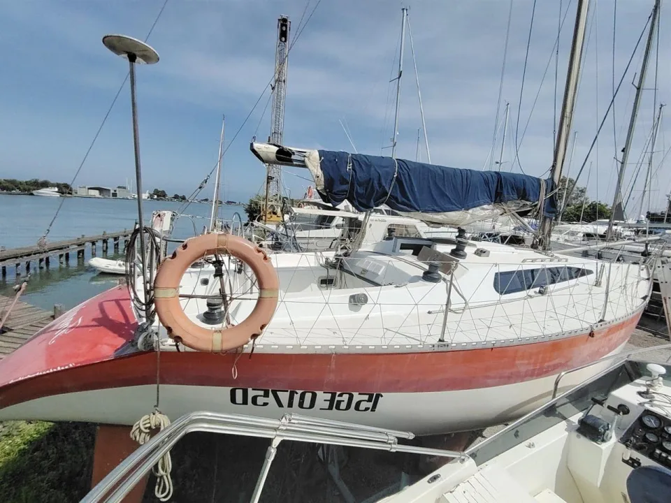 Polaris 37 usato - foto 1