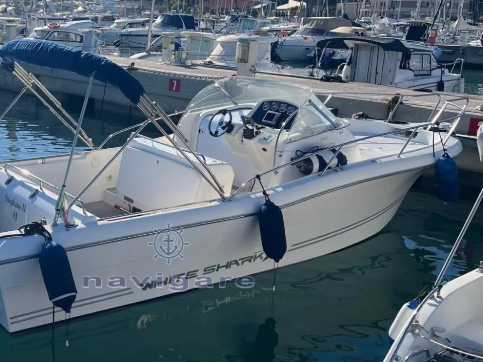 Kelt WHITE SHARK 268 usato - foto 1