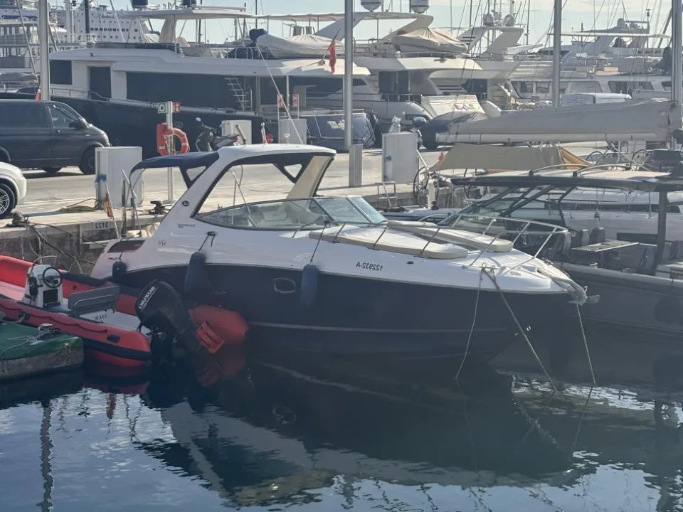 Sea Ray Sundancer 310 gebraucht - Foto 1