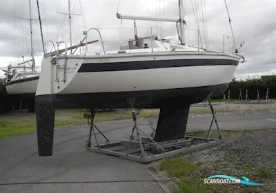 Westerly Gk 29 usato - foto 1