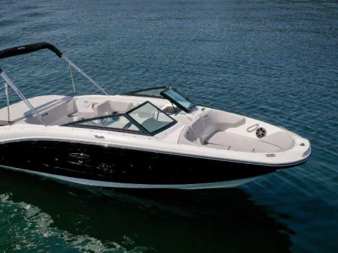 Sea Ray SPX 190 OB gebraucht - Foto 1