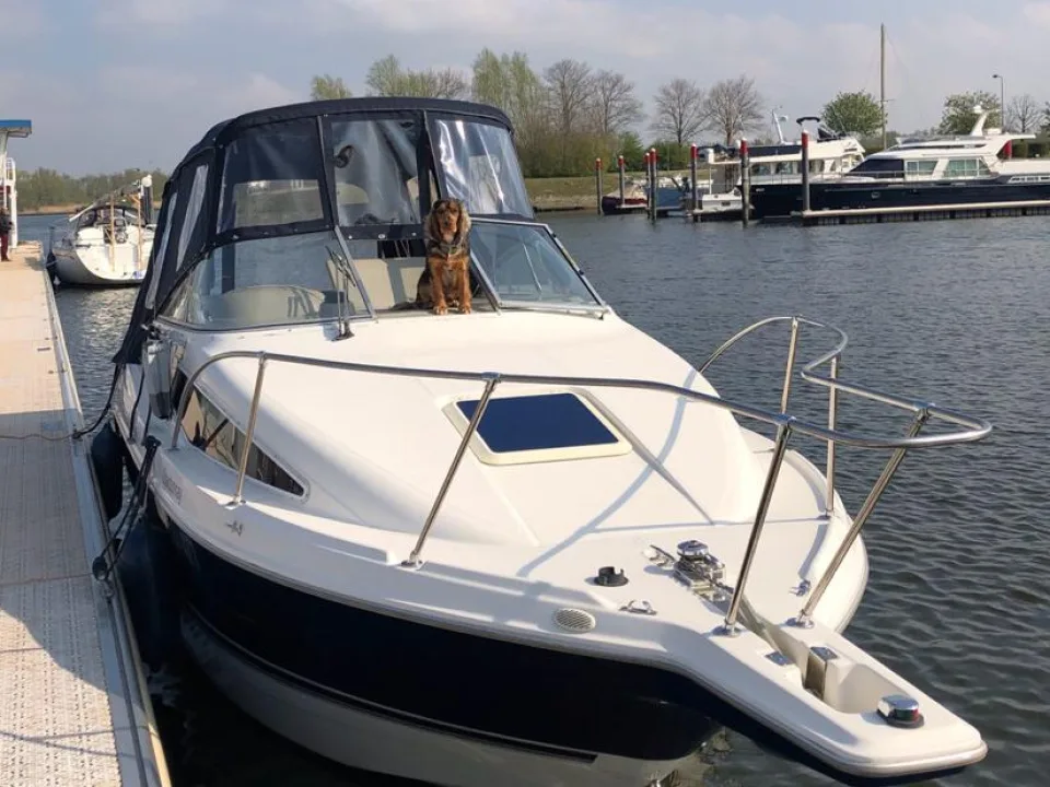 Bayliner 2655 Ciera gebraucht - Foto 1