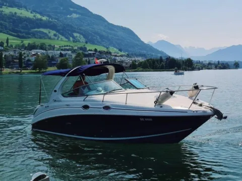 Sea Ray 315 Sundancer used - photo 1