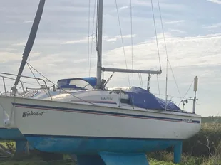 Jaguar 24 gebraucht - Foto 1