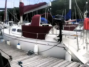 Delphia 29 gebraucht - Foto 1