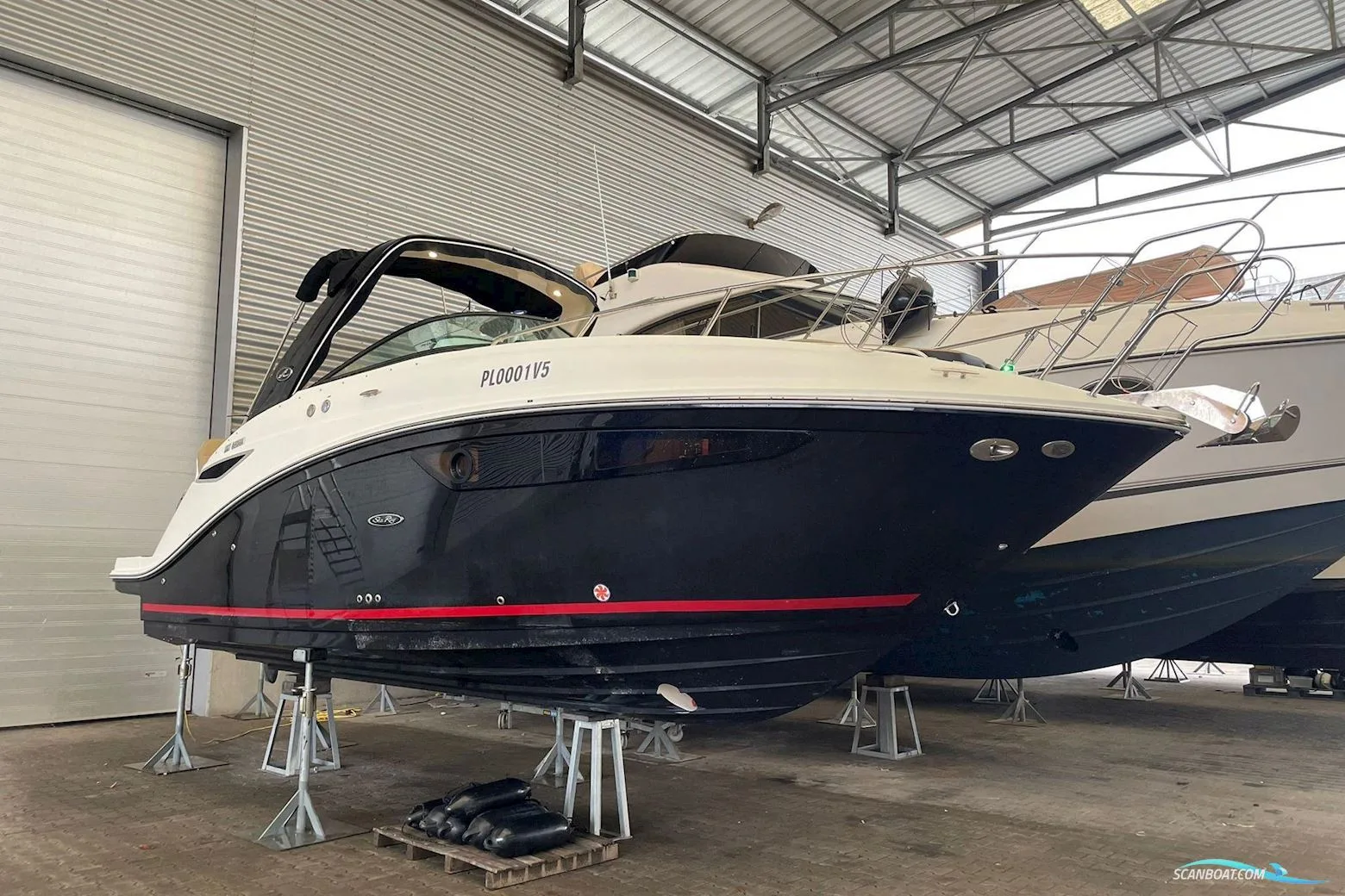 Sea Ray 265 Sundancer d'occasion - photo 1