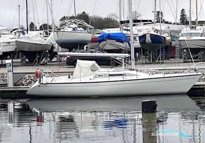 Dehler 34 used - photo 1