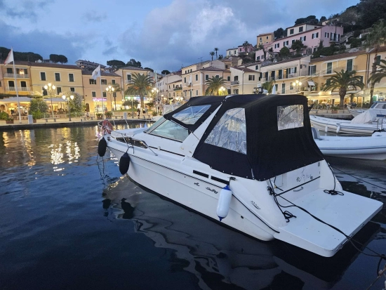 Sea Ray Sundancer 290 gebraucht - Foto 1