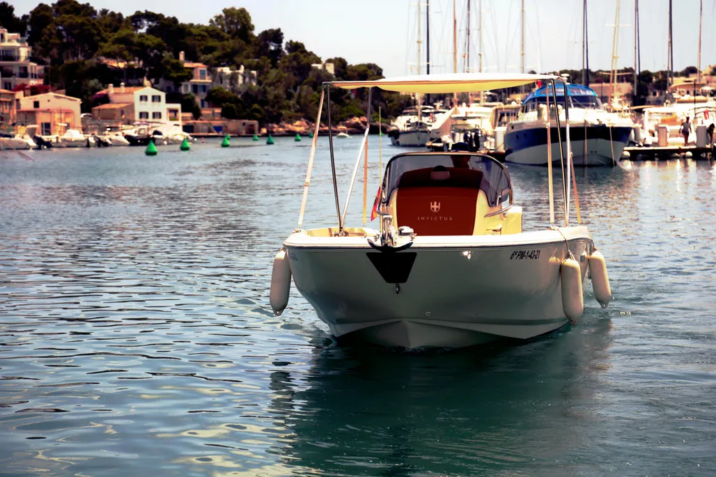 Invictus FX200 used - photo 1