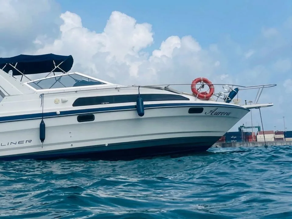 Bayliner 2855 Ciera Sunbridge usato - foto 1