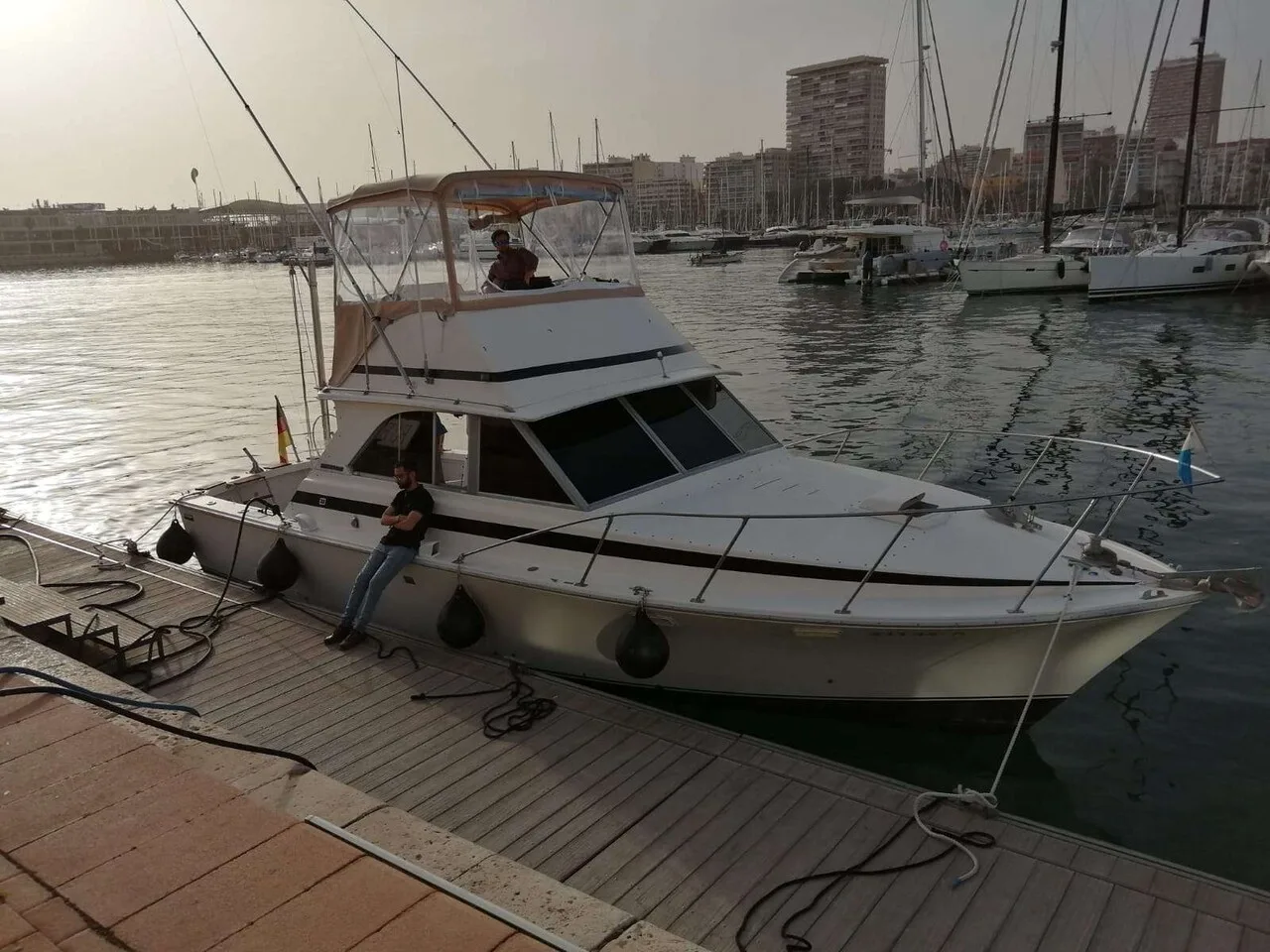 Bertram 35 used - photo 1