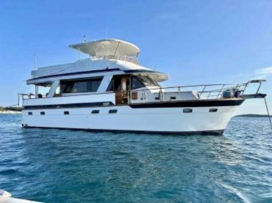 Edership 51 Sea Ranger d'occasion - photo 1
